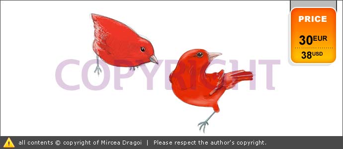 002_illustration_redbirds.jpg